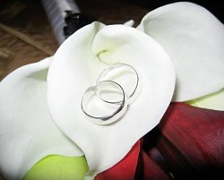 Los Anillos de Boda de Julio y Krista