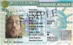 Ejemplo Green Card